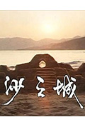 岛的故事之大屿山沙之城封面
