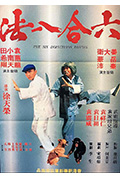 《六合八法》封面