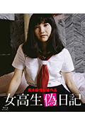 女高中生伪日记封面