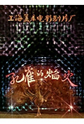 孔雀的焰火封面