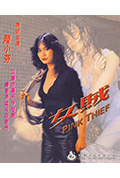 女贼封面