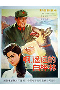 《白桦林中的哨所》封面