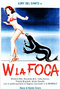 海豹W封面