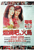 《燃烧吧,火鸟》封面