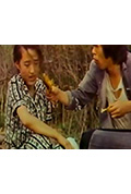树林里的傻瓜封面