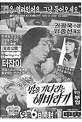 《等待夜晚的向日葵》封面