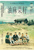 《油麻菜籽》封面
