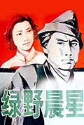 绿野晨星封面