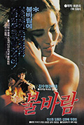 《불바람》封面