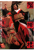 《阳晖楼》封面