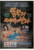 《秧鸡凌晨飞》封面