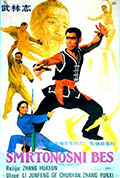 武林志封面