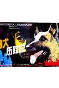 《狼犬历险记》封面