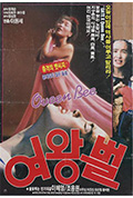 女王蜂封面