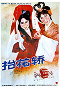 《抬花轿》封面