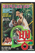 桑叶封面
