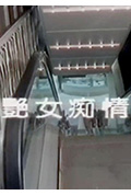 艳女痴情封面