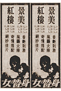 《女替身》封面