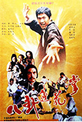 《八卦莲花掌》封面