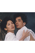 《两个女人的家》封面