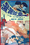 孽恋狂情封面