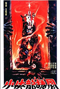 《小侠龙卷风》封面