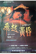 《飞越黄昏》封面