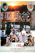 《鲁冰花》封面