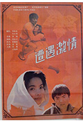 《遭遇激情》封面