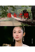 《傣女之恋》封面