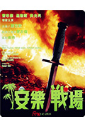 《安乐战场》封面
