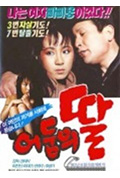 어둠의 딸封面