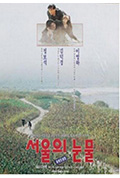 《首尔的眼泪》封面