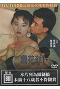 樱花劫封面