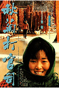 《秋菊打官司》封面