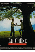 《橡树》封面