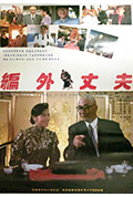 编外丈夫封面