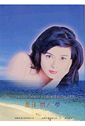 《夏日情未了》封面