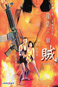 《我是一个贼》封面