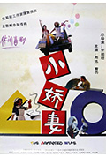 小娇妻封面