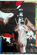 《白马飞飞》封面