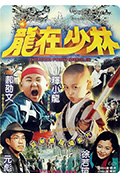 《龙在少林》封面