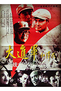 大进军——南线大追歼封面