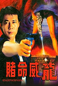 赌命威龙封面