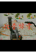《化骨绵掌》封面