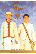 《算死草》封面