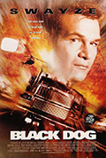 《狭路相逢》封面