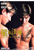 《龙在江湖》封面