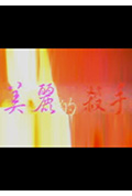 美丽的杀手封面