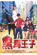《黑马王子》封面